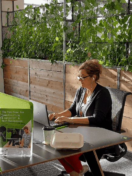 Image 11 of Oxford Innovation - Knowledge Gateway - Boundary Road, CO4 - Colchester
