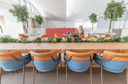 Image 15 of FORA Space - 42-46 Princelet Street, E1 - Spitalfields
