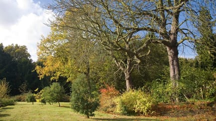 Image 6 of Airivo - 1 Bromley Lane, BR7 6LH - Chislehurst