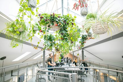Image 9 of X+Why - Huguenot Place - 17 Heneage Street, E1 5LN - Aldgate East