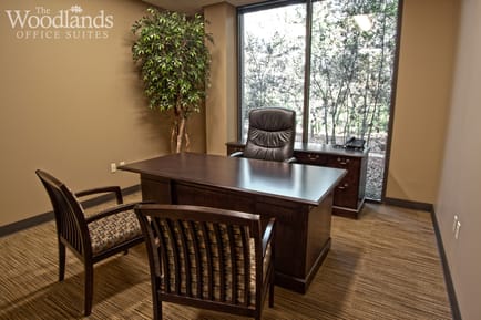 Image 14 of The Woodlands Office Suites - 1095 Evergreen Circle - The Woodlands - TX