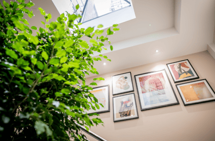 Image 9 of X+Why - 4-7 Fulwood Place, WC1V - High Holborn