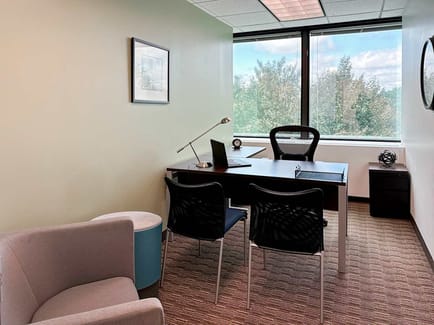 Image 4 of Regus - Pennsylvania Radnor Radnor Financial BC - 201 King of Prussia Road - Radnor - PA