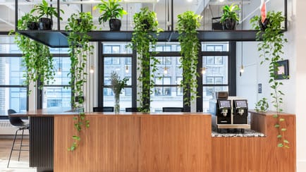 Image 1 of WeWork - 135 W 41 Street, NT 10036 - New York
