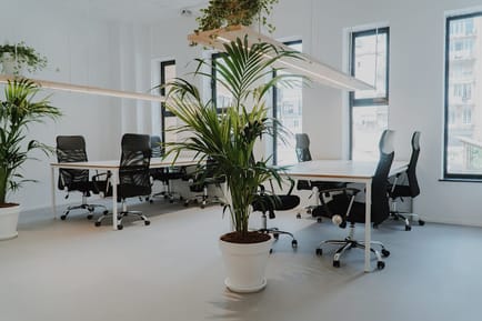 Image 2 of Aticco Workspace - 339 Calle de Provenca, 08037 - Barcelona