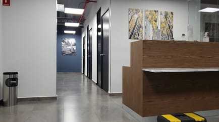 Image 2 of Sach Office Hosting - 442 Lago Alberto, 11320 - Mexico