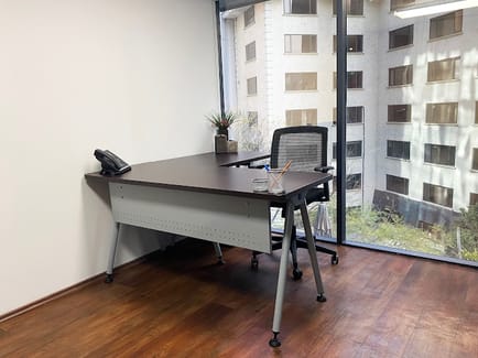Image 3 of Sach Office Hosting - 124 Calle Monte Elbruz, 11000 - Mexico