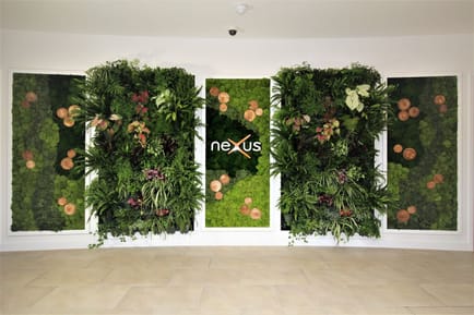 Image 9 of Triolo Commercial Services - The Nexus - Systematic Business Park, Old Ipswich Road, CO7 - Colchester