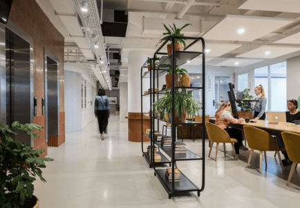 Image 6 of Workshop 17 - 24 Cradcok Avenue, 2196 - Rosebank - South Africa