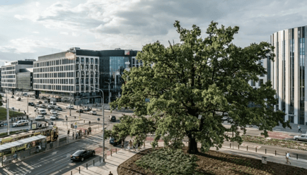 Image 8 of CitySpace - Aquarius Business House - 1 Swobodna, 50-088 - Wroclaw