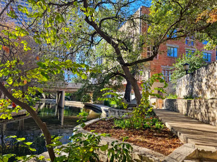 Image 12 of Hq - 454 Soledad St,3rd Floor