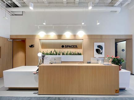 Image 2 of Spaces - 110 Carlton Gore Road,Newmarket