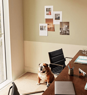 Image 4 of Working From - Square Victoria Régina 1 - 1210 - Brussels