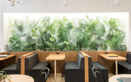Image 4 of WeWork - Nippon TV Yotsuya Building - 1F, 5 Chome 3-23 Kojimachi, Chiyoda City, 102-0083 - Tokyo