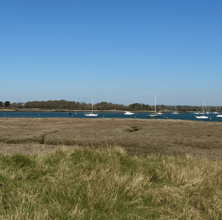 Image 4 of TITB Ltd - Northstore Boatyard, PO20 - Chichester