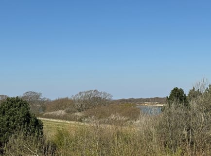 Image 8 of TITB Ltd - Northstore Boatyard, PO20 - Chichester