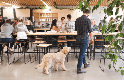 Image 2 of The Commons - 80 Market St, 3205 - South Melbourne