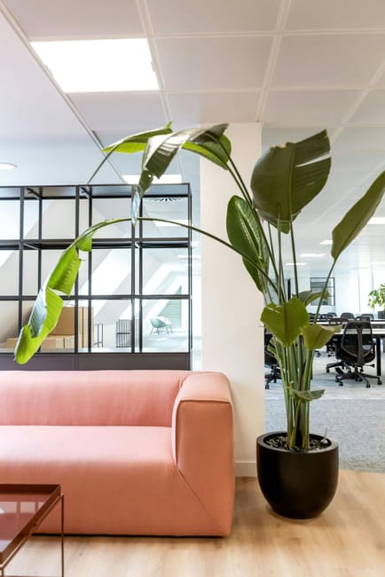 Image 6 of Sub800 Managed (3,487 - 3,487 sqft) - 10 Dean Farrar Street, London, UK