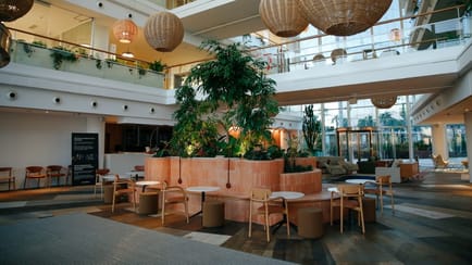 Image 7 of Norrsken Barcelona Representative - Norrsken House - Passeig del Mare Nostrum, 15, 08039 - Ciutat Vella