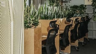 Image 3 of Digital Jungle - 17A University Street, 0186 - Tbilisi