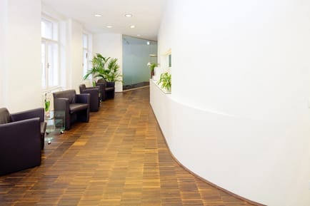 Image 8 of Bena -  Business Embassy FISCHHOF3