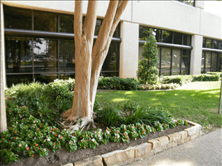 Image 2 of Joint Venture Business Centers, LLC - Spring Valley Road - Dallas - TX