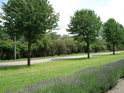Image 3 of PNO Vastgoed - Amsterdam Westpoort - Contactweg - Amsterdam