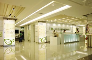 Image 2 of Capital International Business Centres - Hong Kong Landmark - Lung Sum Avenue - Sheung Shui