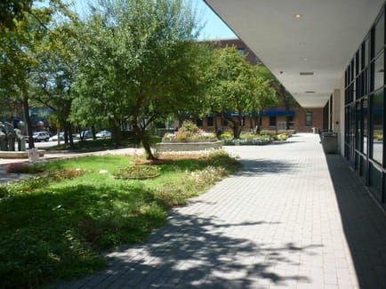 Image 11 of SoNo Corporate Suites - 50 Washington St - Norwalk