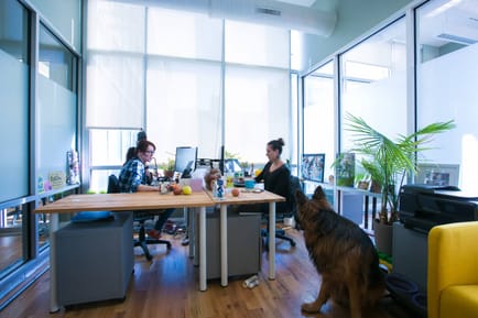 Image 3 of Green Desk - 147 Prince Street, 11201 - Brooklyn, NY