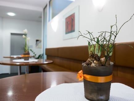 Image 9 of Your Office - ARENA GRAZ - Liebenauer Hauptstrasse 2-6 - Graz