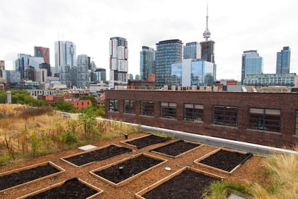 Image 4 of Workhaus - Spadina - 215 Spadina Avenue - Toronto - ON