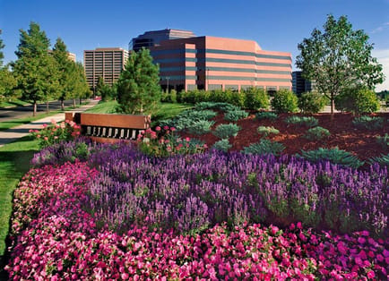 Image 1 of Intelligent Office (Denver Tech Center) - 4610 South Ulster Street - Denver - CO