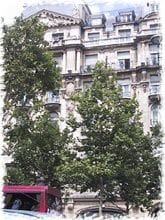 Image 1 of Cides - Rue Jean Giraudoux- Paris