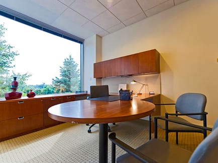Image 4 of Regus - Lake Cook Rd - Deerfield, IL