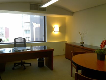 Image 2 of Regus - Ave Mariano Escobedo - Mexico City