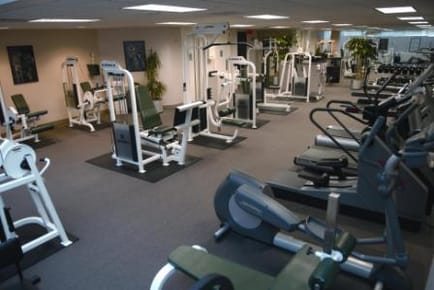 Image 4 of Stark Office Suites - 500 Mamaroneck Ave, Harrison - NY