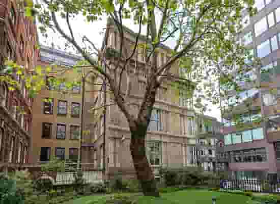 default carousel image mobile