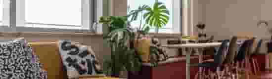 default carousel image mobile