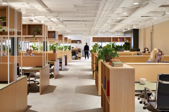 X+Why - Arding & Hobbs - 10 St John's Rd, SW11 - Clapham Junction