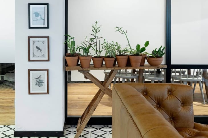 Mindspace - 45 Rothschild - Tel Aviv image 2