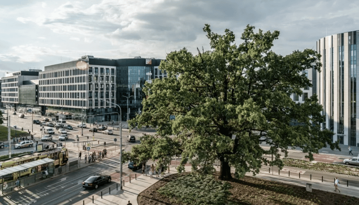 CitySpace - Aquarius Business House - 1 Swobodna, 50-088 - Wroclaw image 8