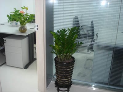 Capital International Business Centres -  Modern International Centre, Jintian Road, Shenzhen image 2
