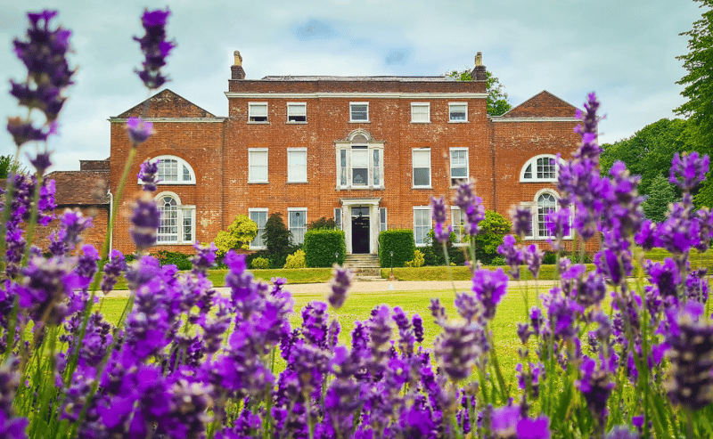 Worting House, Church Lane, RG23 - Basingstoke image 6