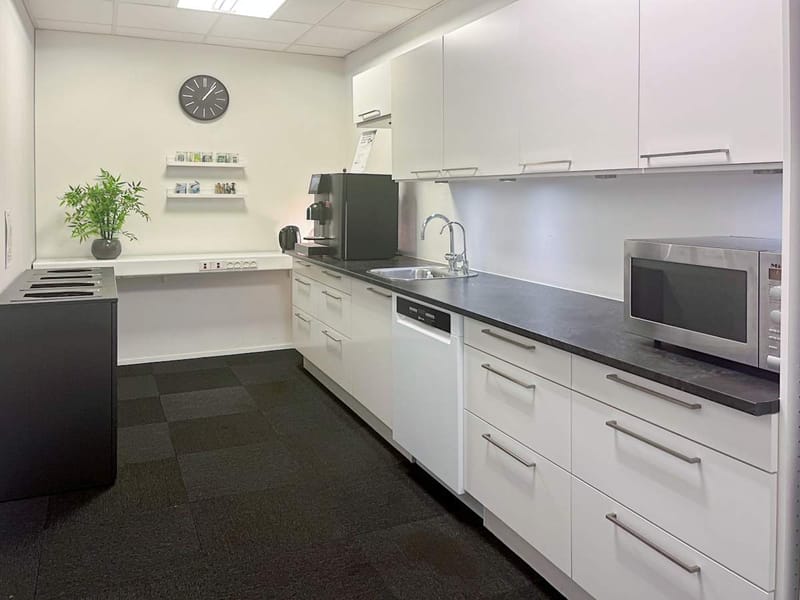 Regus - Herstedoestervej, Albertslund - Copenhagen image 14