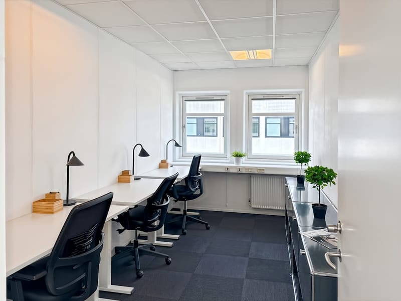 Regus - Herstedoestervej, Albertslund - Copenhagen image 4
