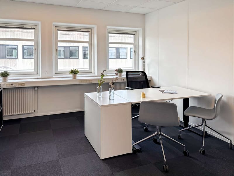 Regus - Herstedoestervej, Albertslund - Copenhagen image 7