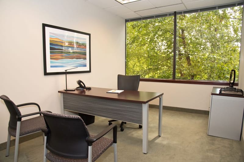 American Executive Centers - Lindenwood Drive - Great Valley - Malvern - PA image 10