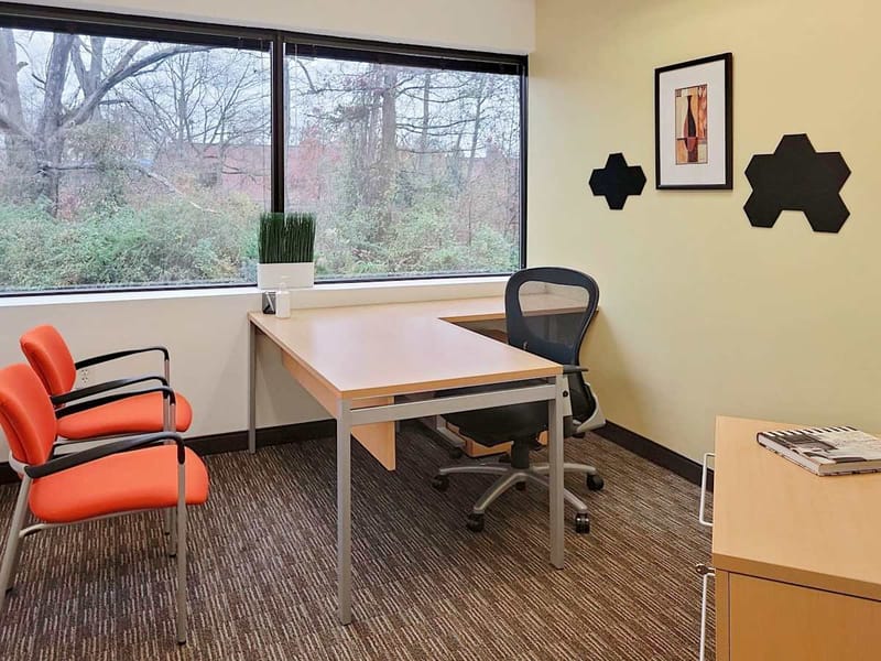 Regus - Horizon Center - Hamilton Township - Trenton - NJ image 4