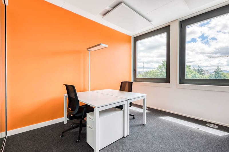 Regus - Geneva Business Terminal - Rue de Pré-Bois 14 - Meyrin image 9